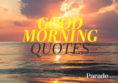 Good Morning Sunshine Stock Photos and Pictures - 19,096 Images |  Shutterstock