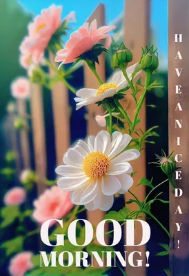 Good morning | Good morning flowers quotes, Good morning flowers gif, Good  morning images flowers