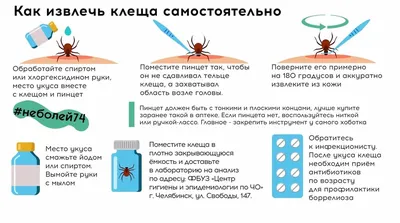 Банкетные залы Челябинск GustoMesto 2024 | ВКонтакте