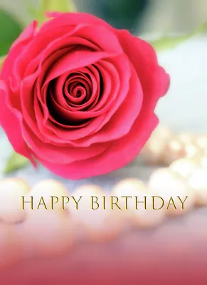 Happy Birthday! Gift Card! - Colors For Earth, LLC