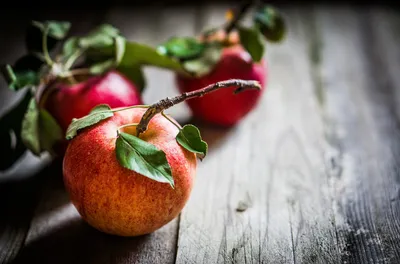 Яблочный Спас: 15 фотографий — Российское фото