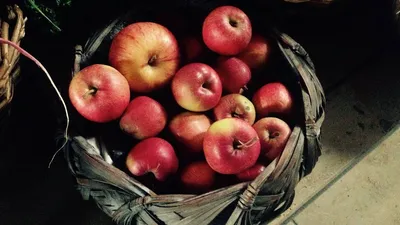 Яблочный Спас 2024: какого числа, история и традиции праздника