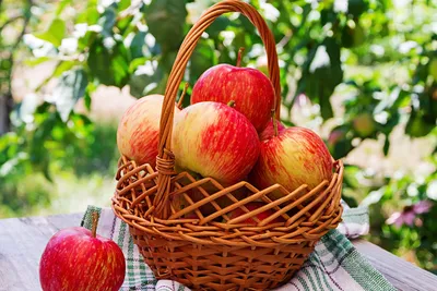 19 августа – Яблочный Спас