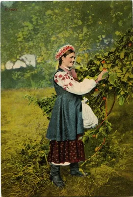 Яблочный Спас — Википедия