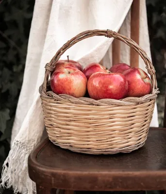 Яблочный Спас-2023: дата, история праздника, приметы и традиции