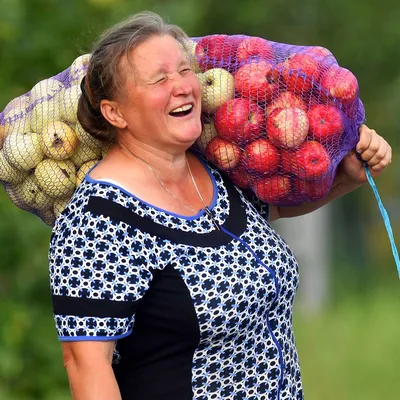 Яблочный Спас Украина 2022 – когда Преображение Господне, что нельзя делать  и что можно