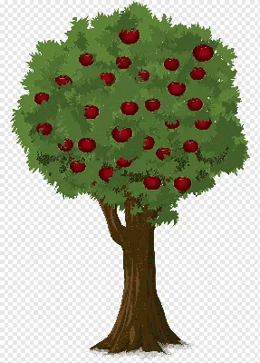 Сладкий плод Яблони