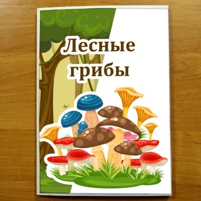 Памятка МЧС России \"Самые распространенные ядовитые грибы\". » Тверской  педагогический колледж