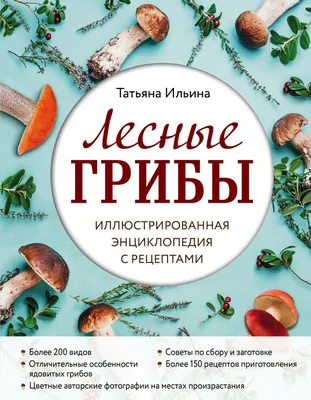 Грибы – как отличить съедобные от несъедобных, чем отличаются грибы