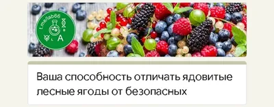 Ядовитые ягоды - БУ \"Сургутский районный комплексный центр социального  обслуживания населения\"