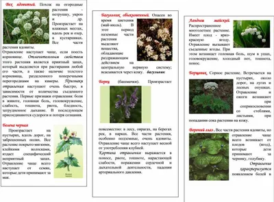 Раскраски Ядовитые растения для детей (27 шт.) - скачать или распечатать  бесплатно #31345