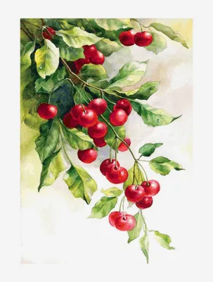 Искусственная ветка зимняя ягодки белая 40 см (id 95668557) купить в  Казахстане, цена на Satu.kz