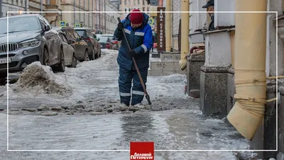 Муж-миллионер не помог\": роскошные светские львицы, которые в итоге  оказались на дне жизни | Российский бомонд | Дзен