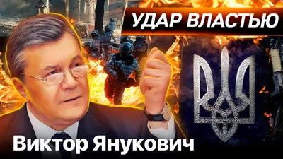 Адвокат: Янукович не выступит на суде с последним словом из-за травмы »  Политринг - Новости Беларуси