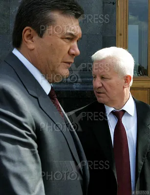 Янукович ищет убежища в Беларуси?