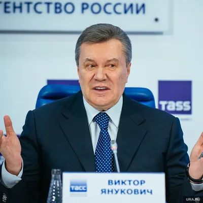 Янукович Александр Викторович биография и пресс-портрет