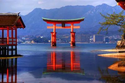 Предпочтения иностранных туристов: самые популярные туристические места  Японии | Nippon.com