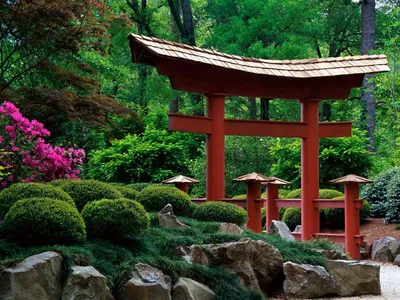 маленький японский сад после дождя Фото Фон И картинка для бесплатной  загрузки - Pngtree