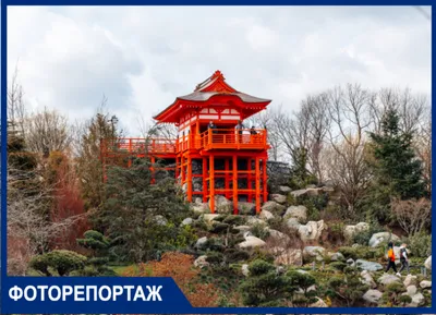 Стало известно, как выглядит Японский сад в парке Галицкого ВИДЕО | Живая  Кубань
