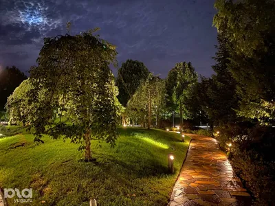 Японский сад в парке «Краснодар» ночью. 10 красивых фото. 31.03.2023 г.  Телеканал «Краснодар»