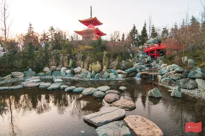 Показываем открытие Японского сада в парке Галицкого – самого большого в  мире: фоторепортаж