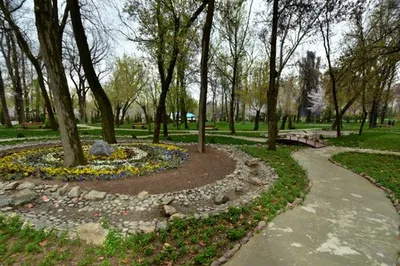 Японский сад в парке Галицкого (Краснодар): что посмотреть, как попасть —  Наш Урал и весь мир