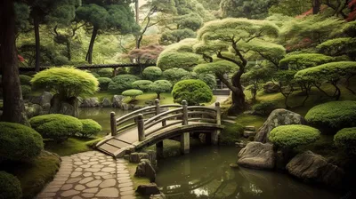 Японский сад «Ива Парк» - места в Тюменской области