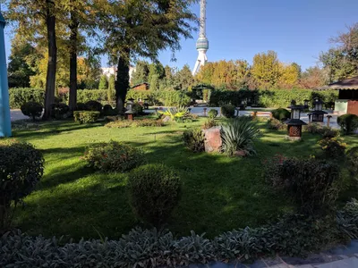 Четыре японских сада в Краснодарском крае и Крыму. Где смотреть красивое,  кроме парка «Краснодар» | Юга.ру