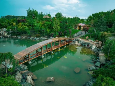 Японский сад в парке «Краснодар». Фоторепортаж - 1 апреля, 2023 Фотогалерея  «Кубань 24»