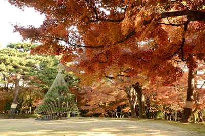 ИваПарк | Экскурсии в Японский сад
