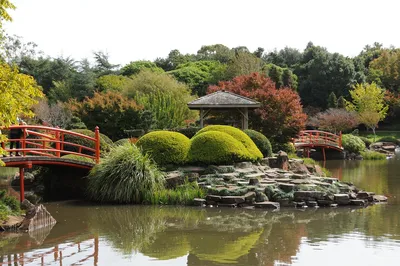 Японский сад в Дюссельдорфе