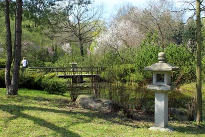 Японский сад, парк «Краснодар» - Кукарта.ру