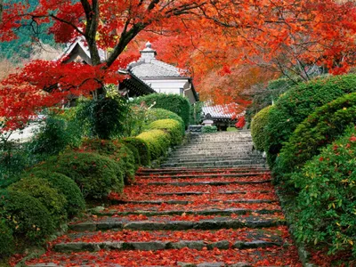 Японский сад в парке «Краснодар». Долгожданное открытие! - YouTube