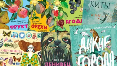 Детские книги на английском языке. Большой формат, яркие, красочные: 150  грн. - Книги / журналы Кременчуг на Olx