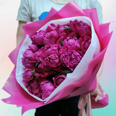 Купить Кустовые розы Куст. ярко-розовые в Минске с доставкой из цветочного  магазина