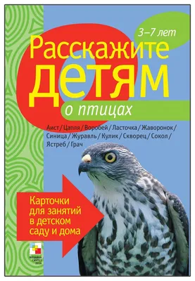 Векторная Иллюстрация Ястреба С Буквой Алфавита H Прописной Или Заглавной  Буквой Для Детей Обучающихся Практике Abc — стоковая векторная графика и  другие изображения на тему Сокол - iStock