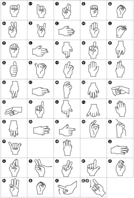 отрицательные жесты. язык жестов невербальное общение Иллюстрация вектора -  иллюстрации насчитывающей характер, мужчина: 224143186