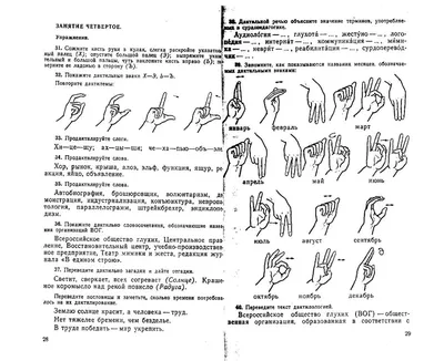 Презентация по окружающему миру \"Язык жестов\"