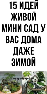 Дизайн участка загородного дома своими руками