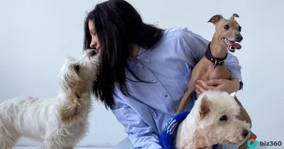 Осторожно, слишком милые песики! Трогательные фотографии собак Кристины  Квапиловой: Идеи и вдохновение в журнале Ярмарки Мастеров