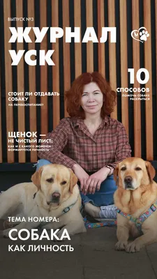 Семейная фотосессия с собакой в студии . Стоимость от 5000 рублей в Москве