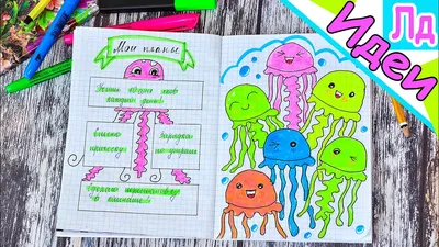 Кактусы! Идеи для личного дневника | Детские проекты, Бумажные поделки,  Летние поделки