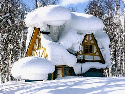 Идеальный план на зимние время года выглядит так 👇 ✔️ Забронировать  треугольный домик @los.i.les ✔️ Взять с собой подругу ✔️ Классно… |  Instagram