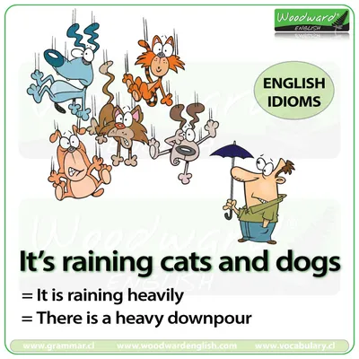 Английские идиомы в картинках | Vocabulary Booster