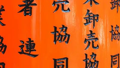 Книги с китайскими иероглифами на картинках, Обучающие китайские иероглифы  с 1000 иероглифами китайского (упрощенный) либрос | AliExpress