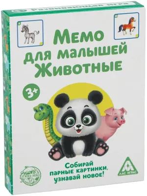 Купить Игра обучающая Парные картинки (12 карт) PAIR GAME в чемоданчике MIN  31920 в магазине развивающих игрушек Детский сад