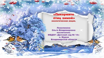 1 апреля - Международный день птиц | МБДОУ МО Г.КРАСНОДАР \"ДЕТСКИЙ САД № 98\"