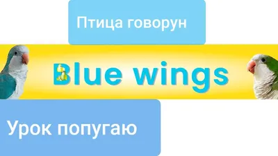 Купить картина по номерам Красиво Красим Капитан Ким и Говорун, 60 х 70 см,  цены в Москве на Мегамаркет | Артикул: 600004527023