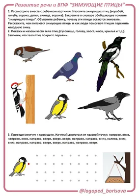 Лексическая тема \"ЗИМУЮЩИЕ ПТИЦЫ\" | Мио логопед Кристина Борисова | Дзен