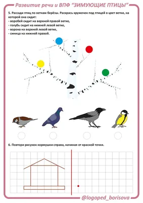 Лексическая тема \"ЗИМУЮЩИЕ ПТИЦЫ\" | Мио логопед Кристина Борисова | Дзен
